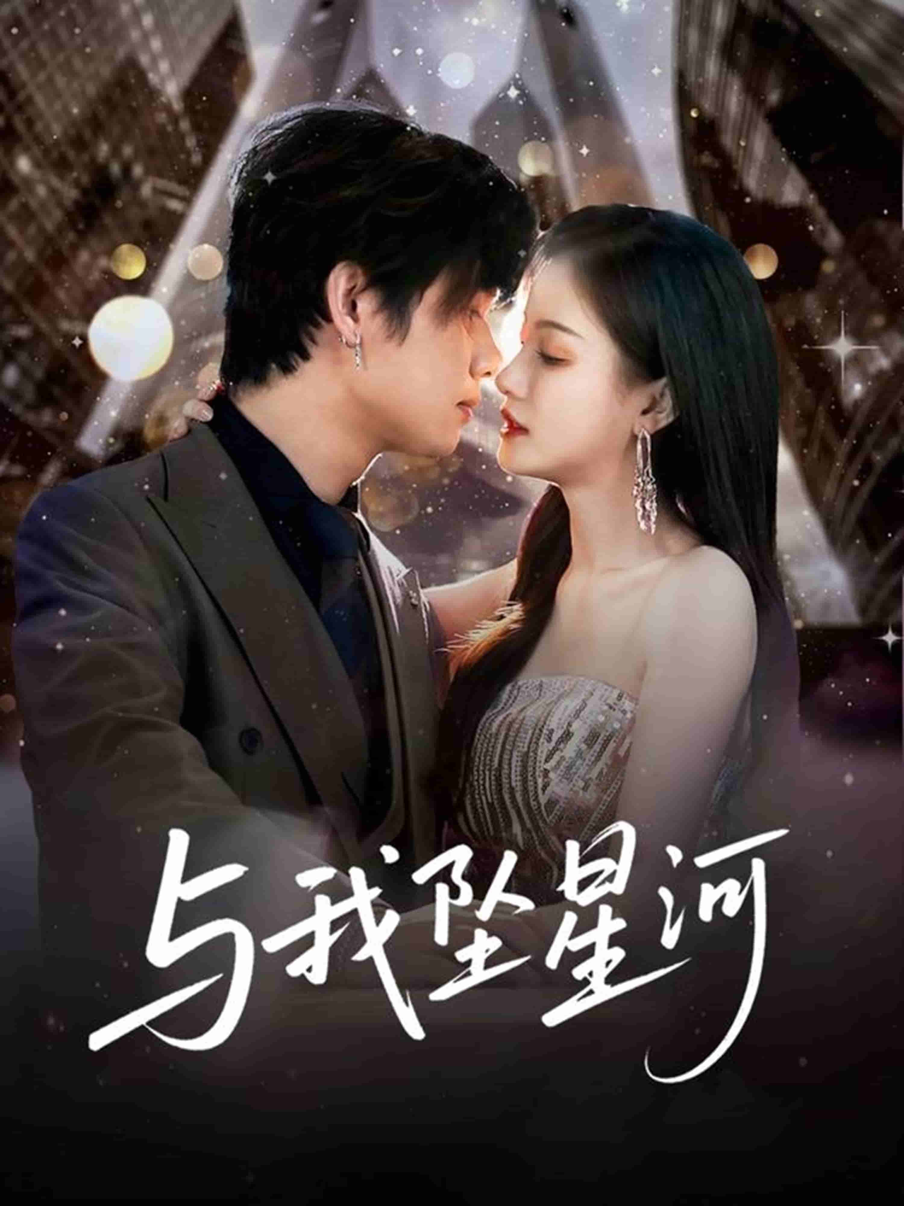 与我坠星河海报