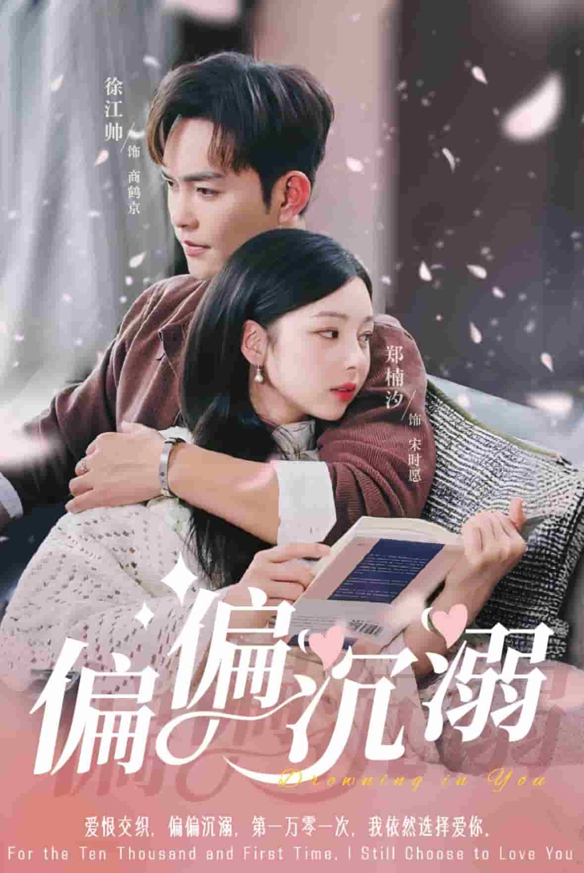 偏偏沉溺海报