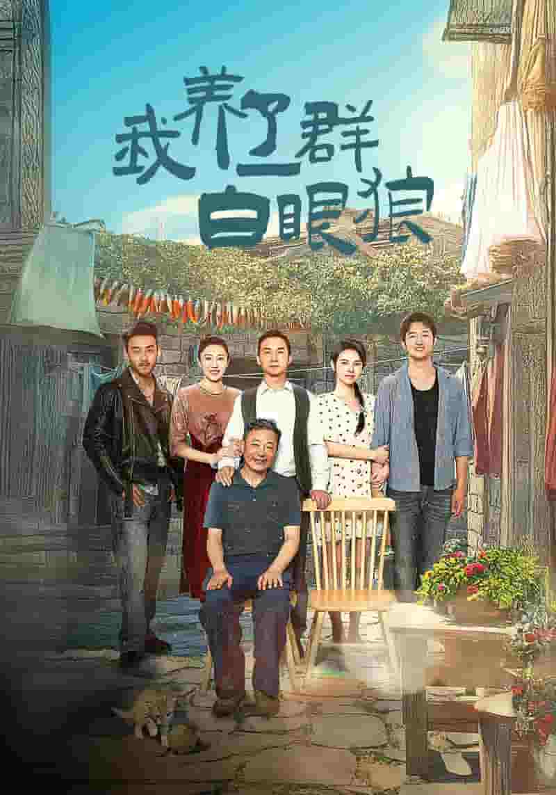 家家有本难念的经海报