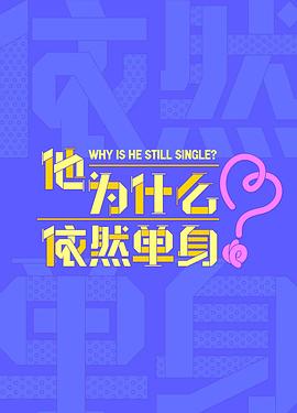 他为什么依然单身海报