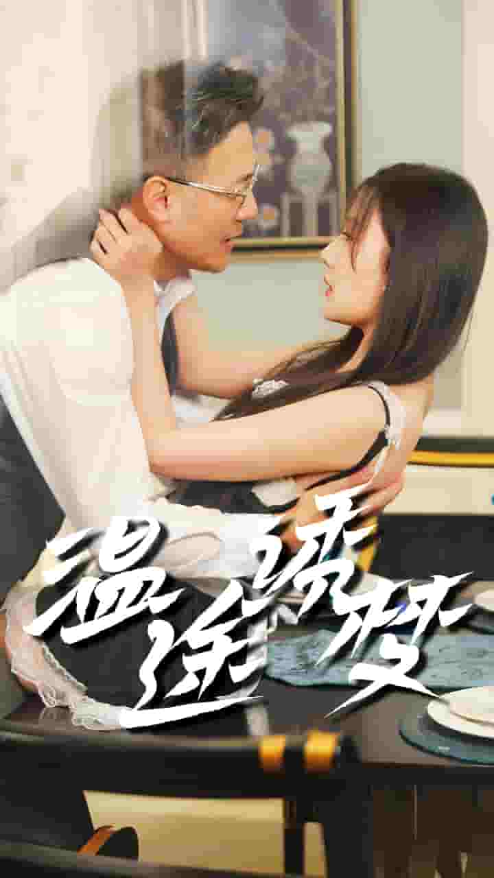 温途诱梦海报