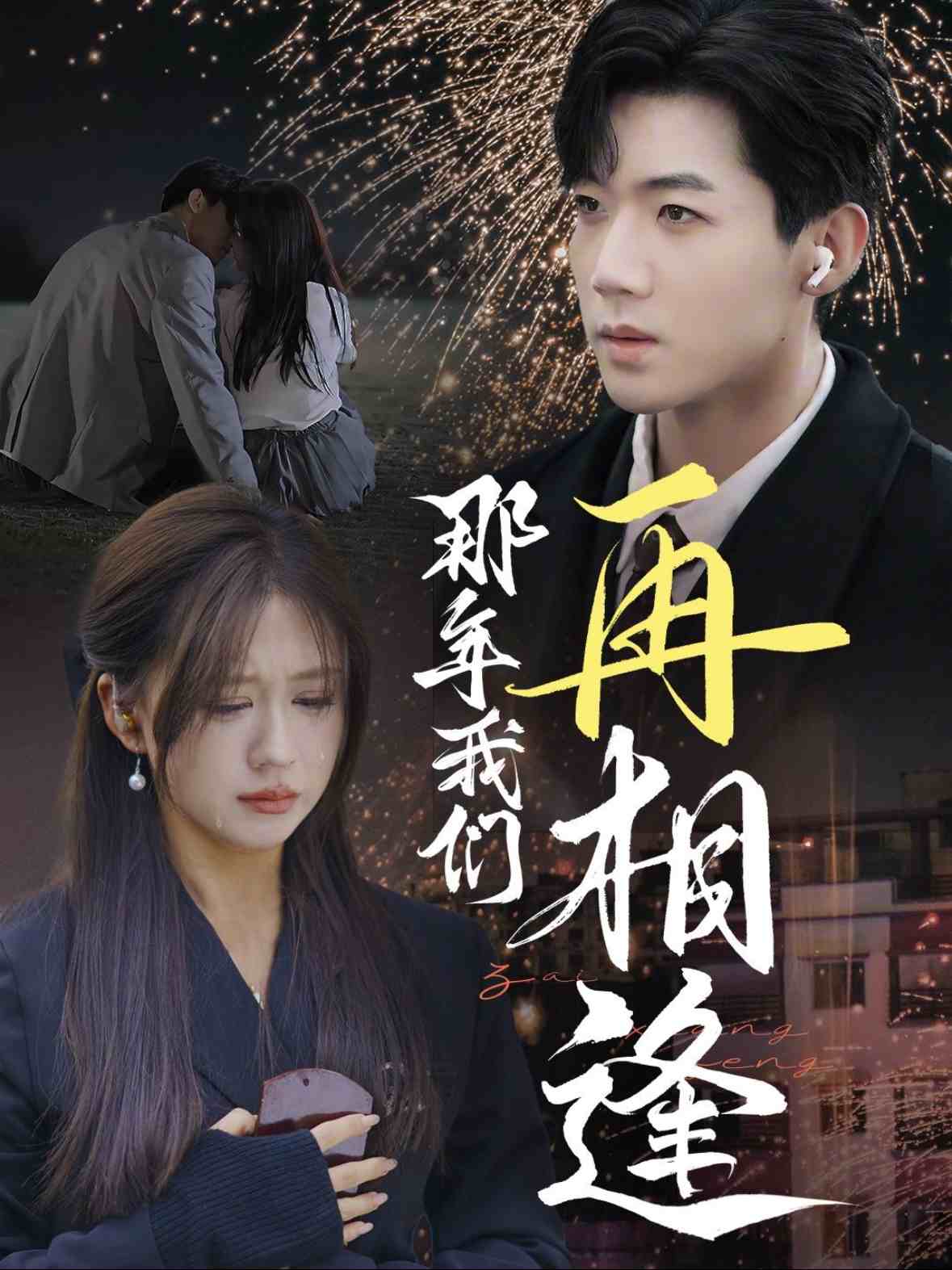 那年我们再相逢海报
