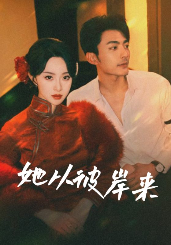 她从彼岸来海报