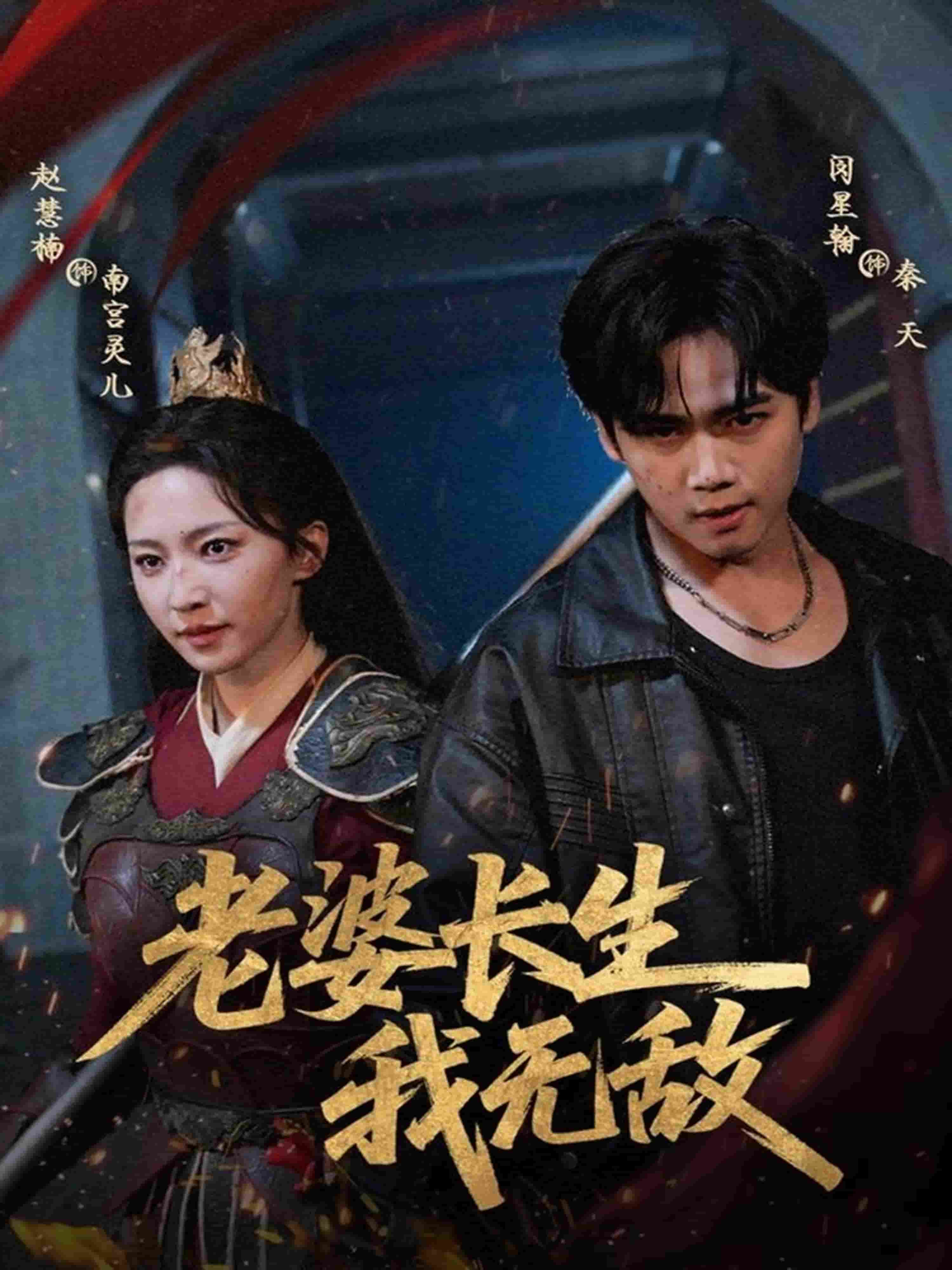 老婆长生我无敌海报