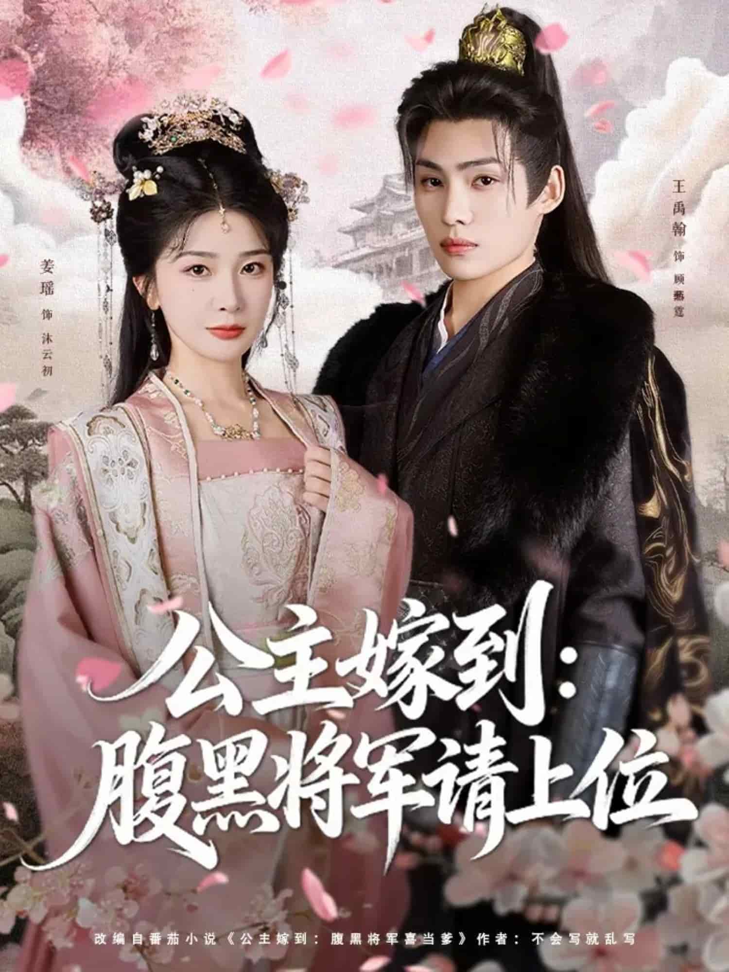 公主嫁到：腹黑将军请上位海报