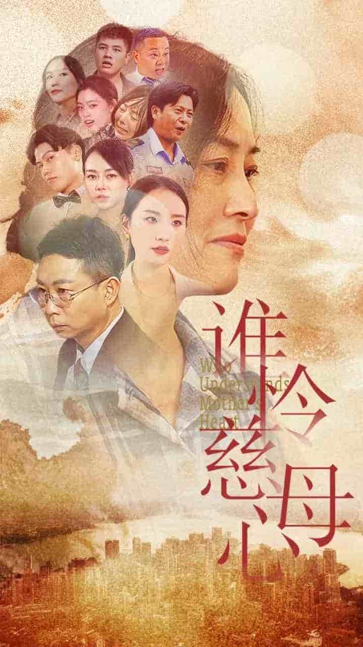 谁怜慈母心海报