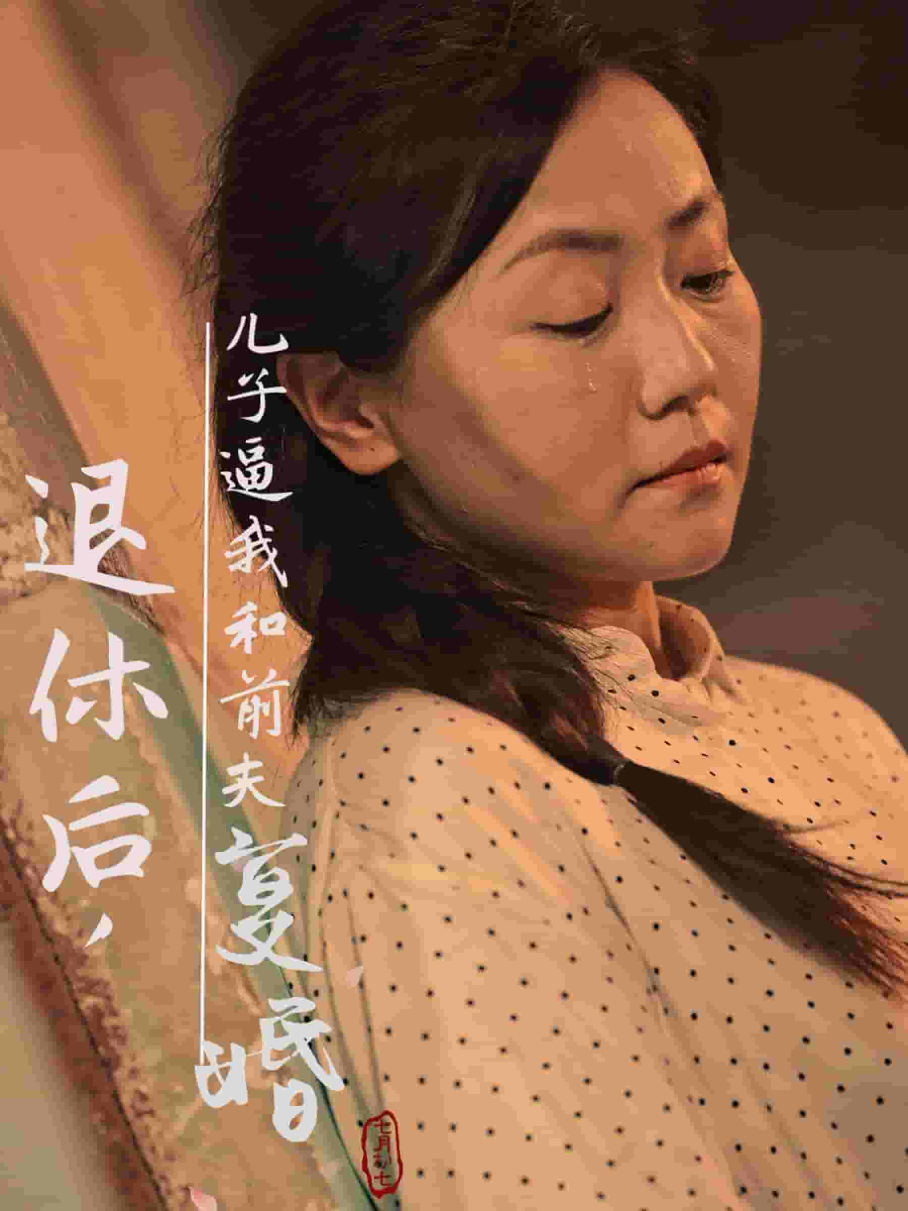 退休后儿子逼我和前夫复婚海报