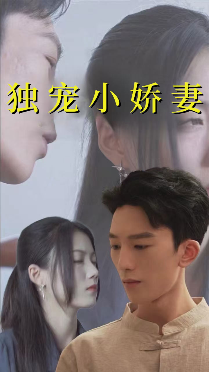 独宠小娇妻海报