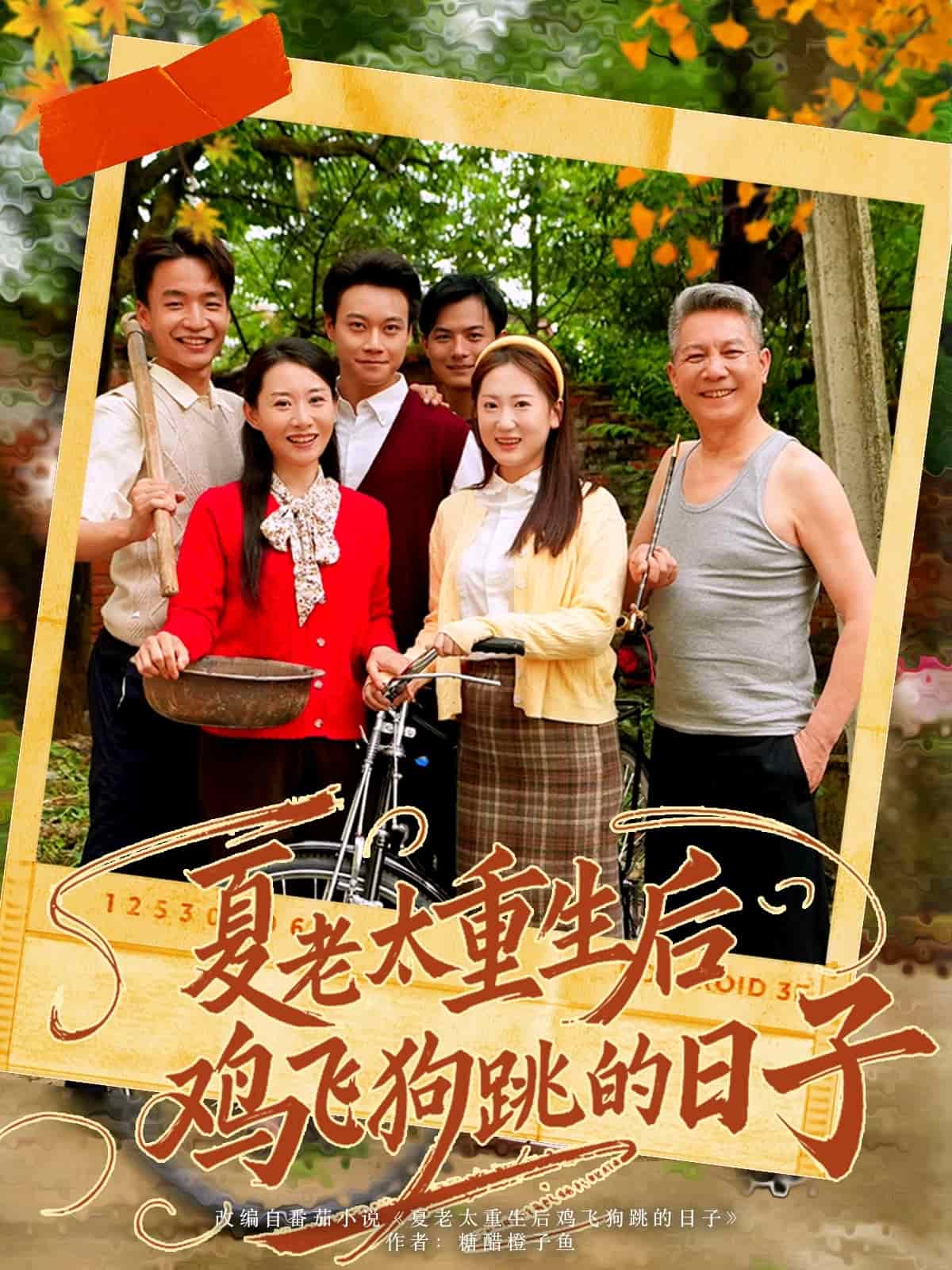 夏老太重生后鸡飞狗跳的日子海报