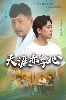 天涯赤子心海报