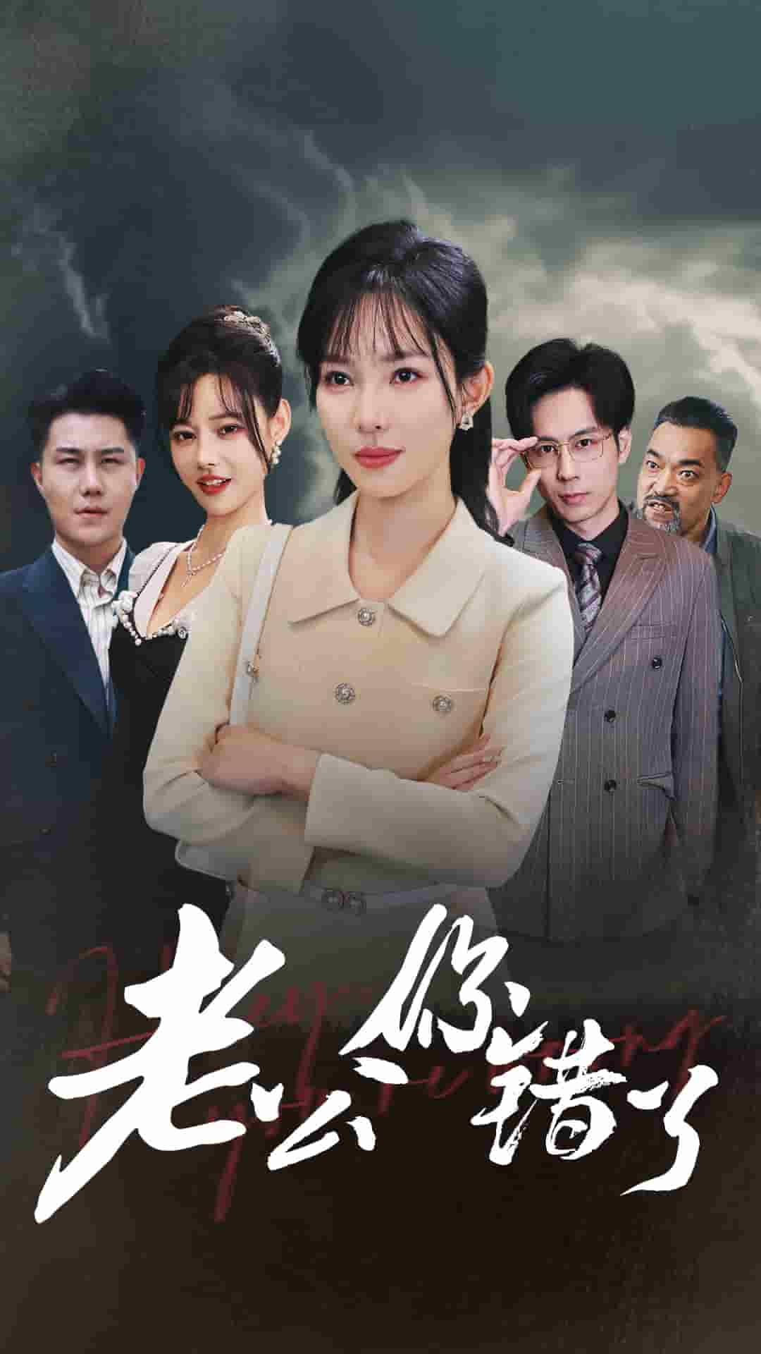 老公你错了海报
