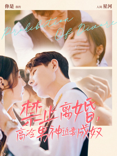 禁止离婚，高冷男神追妻成奴海报