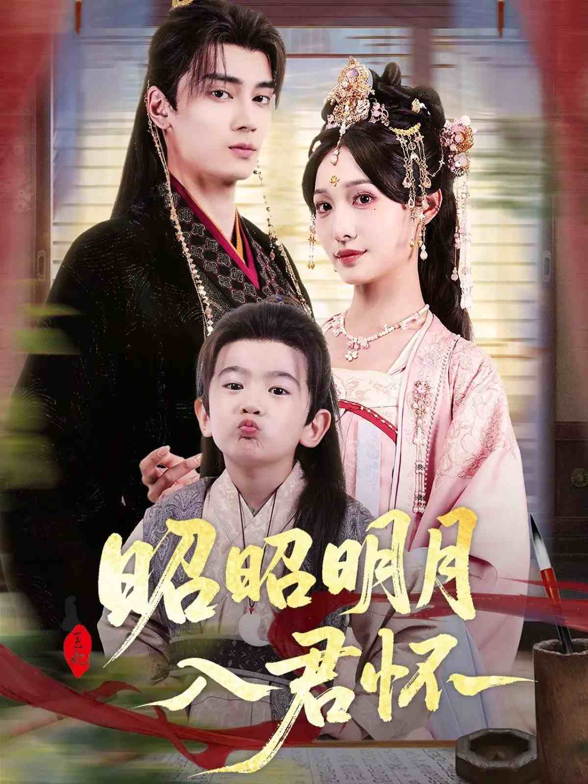 昭昭明月入君怀海报