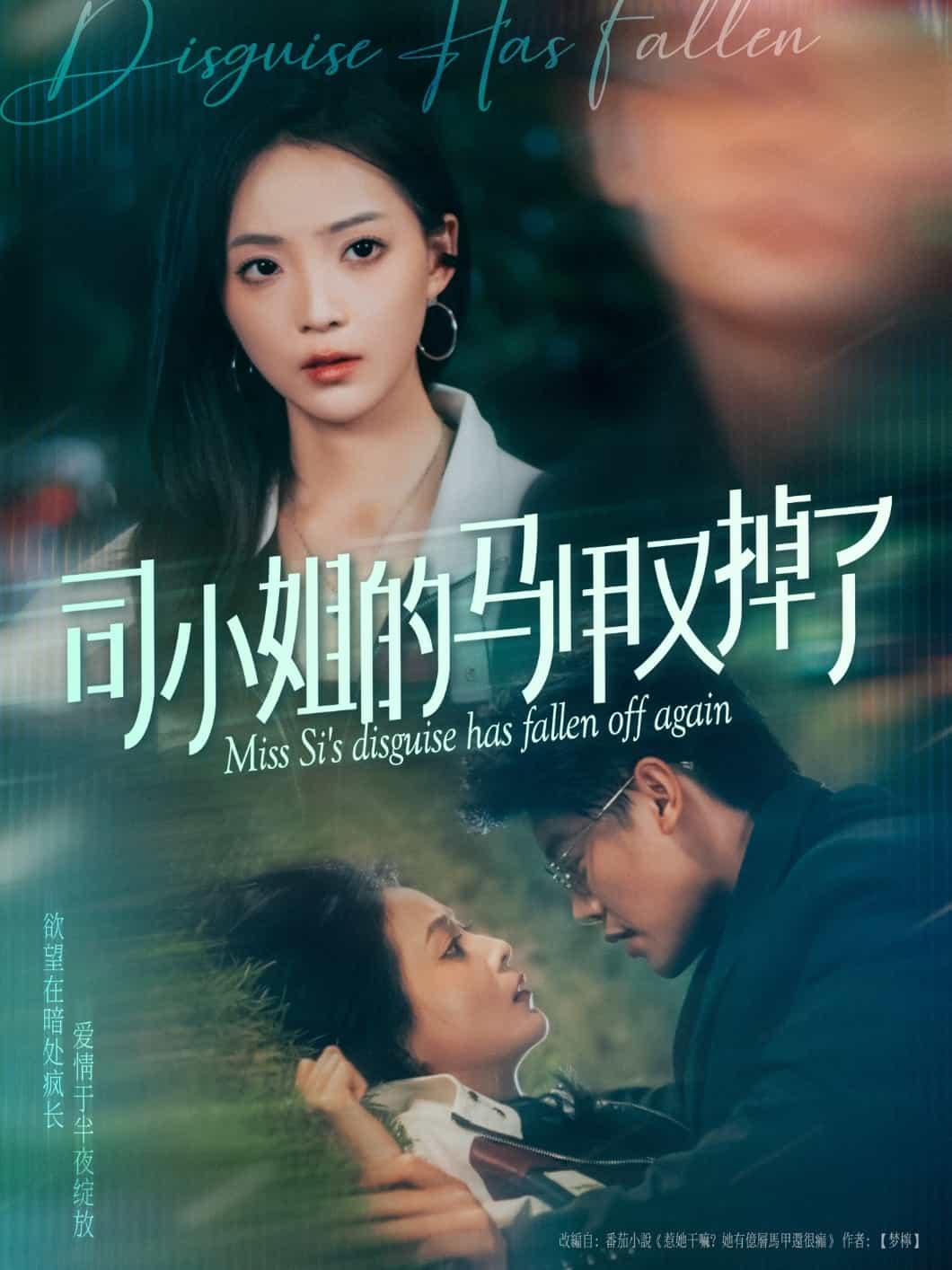 司小姐的马甲又掉了海报