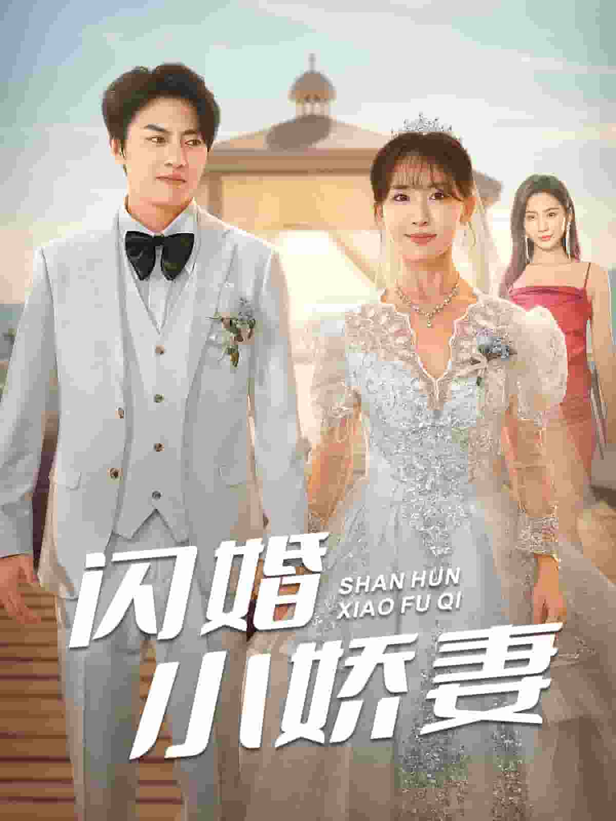 闪婚小娇妻海报