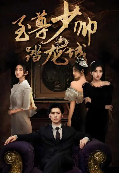 至尊少帅踏龙城海报