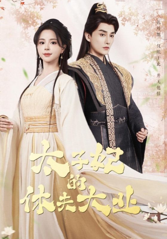 太子妃的休夫大业海报