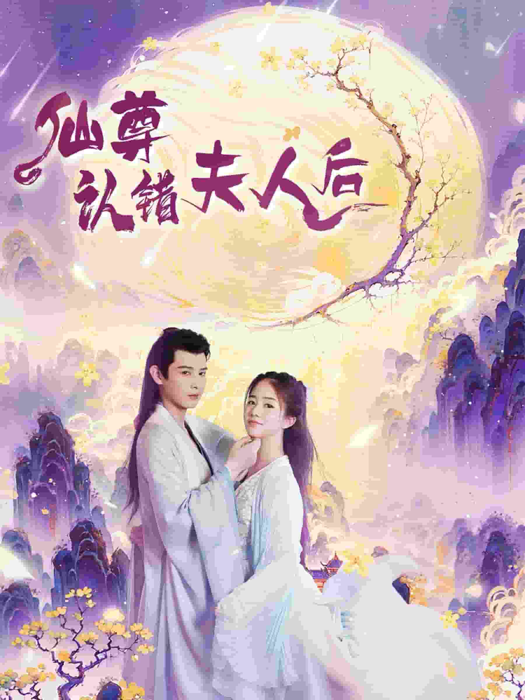 仙尊认错夫人后海报
