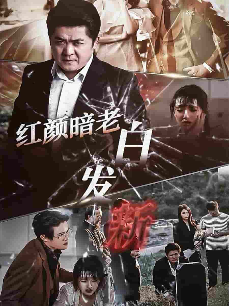 红颜暗老白发新海报