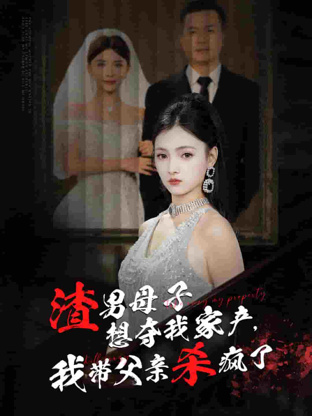 渣男母子想夺我家产我带父亲杀疯了海报