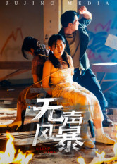 无声风暴海报