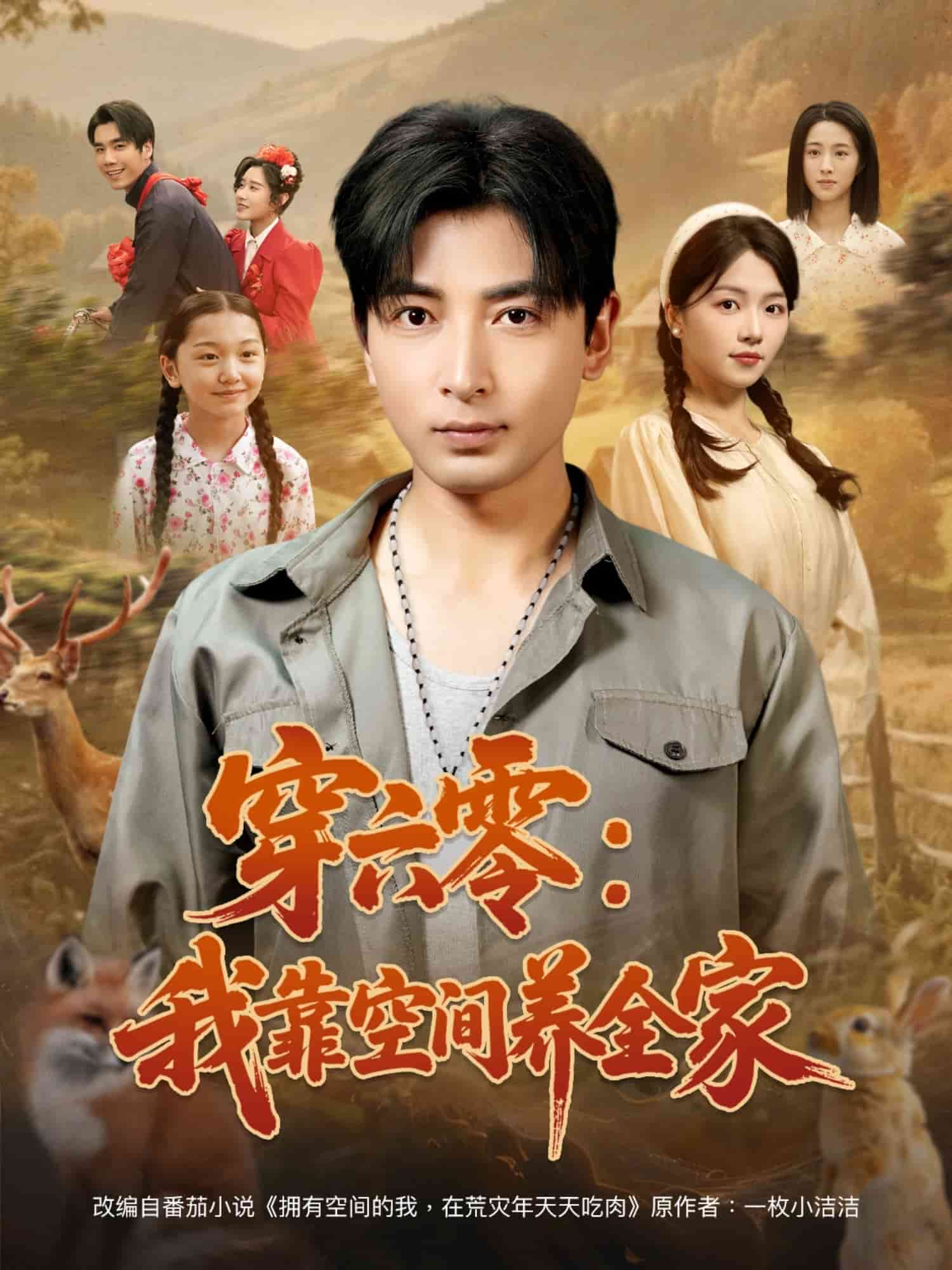 穿六零：我靠空间养全家海报
