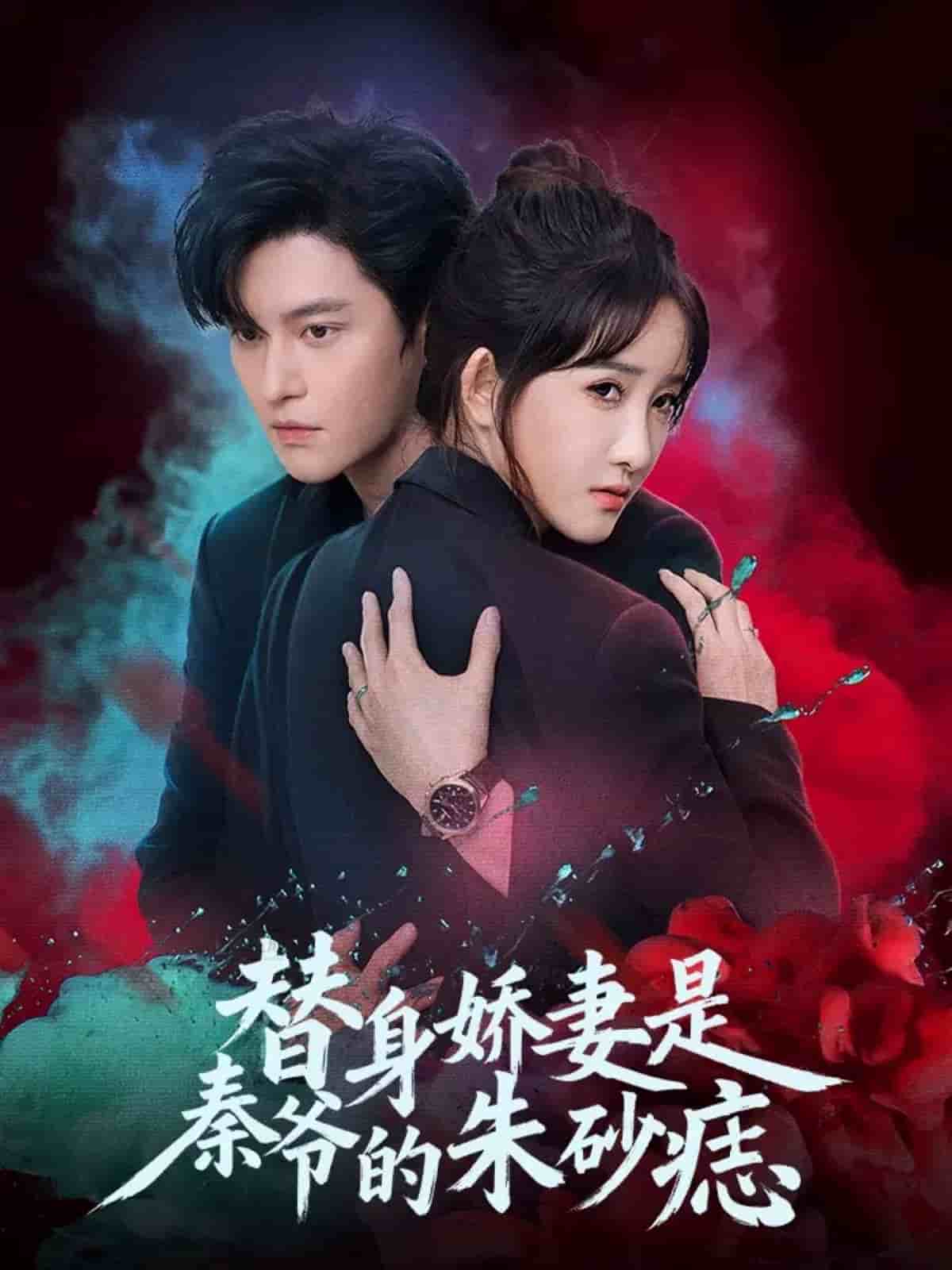 替身娇妻是秦爷的朱砂痣海报
