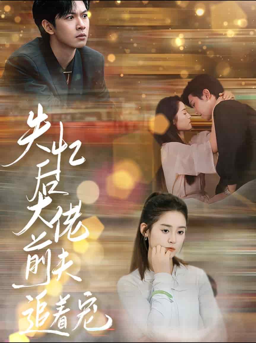 失忆后大佬前夫追着宠海报