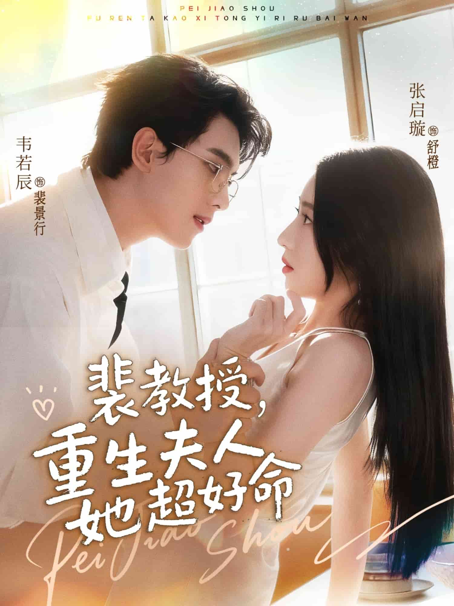 裴教授，重生夫人她超好命海报