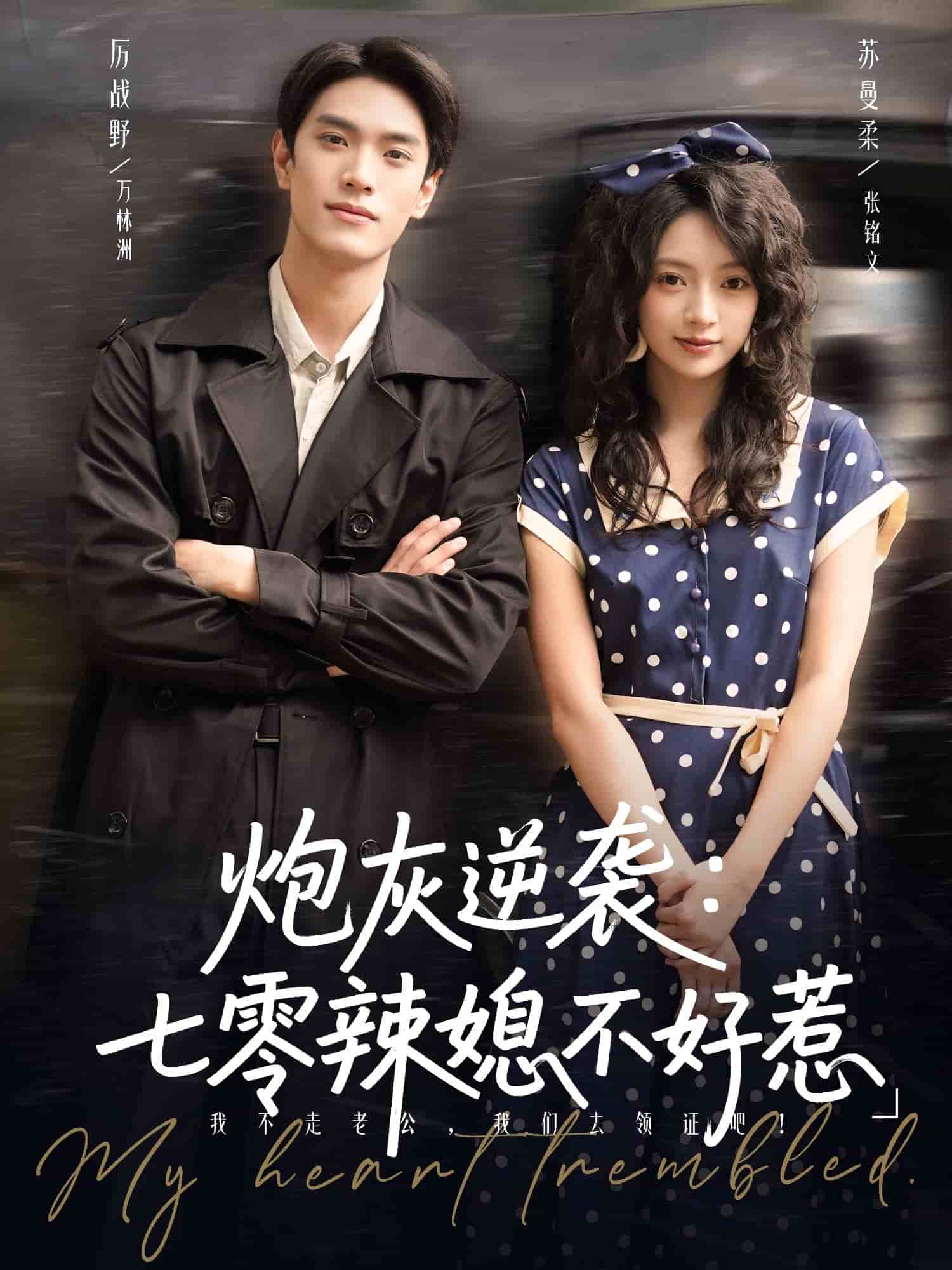 炮灰逆袭七零辣媳不好惹海报
