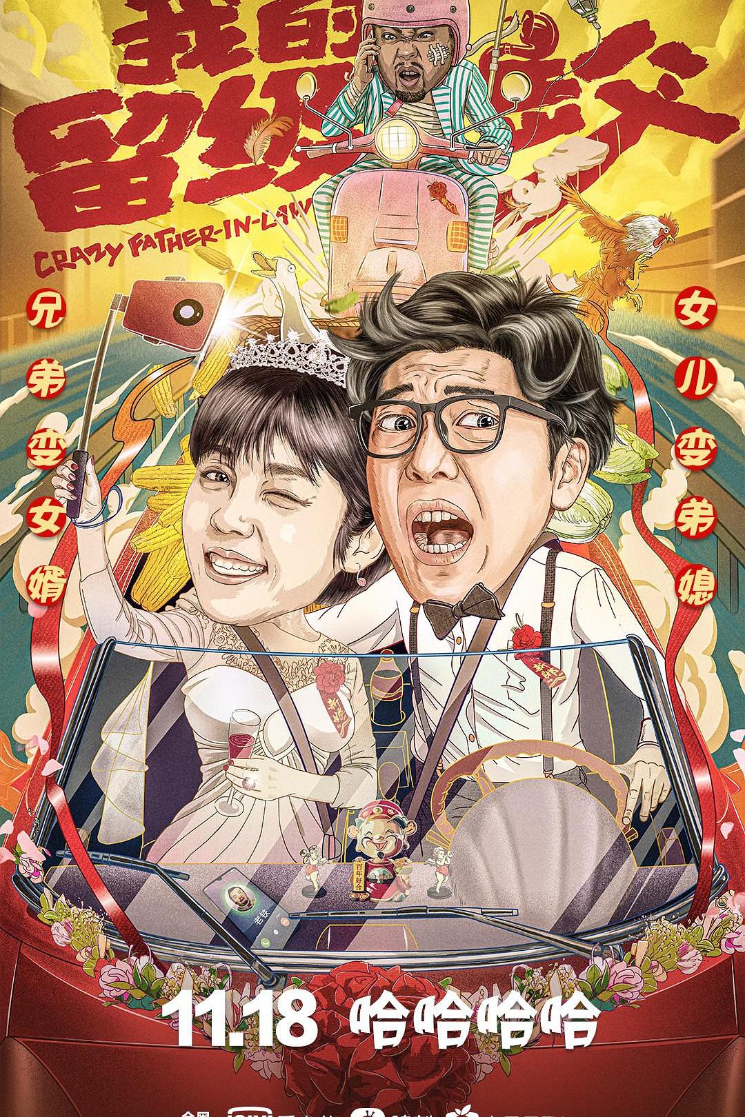 我的留级岳父海报