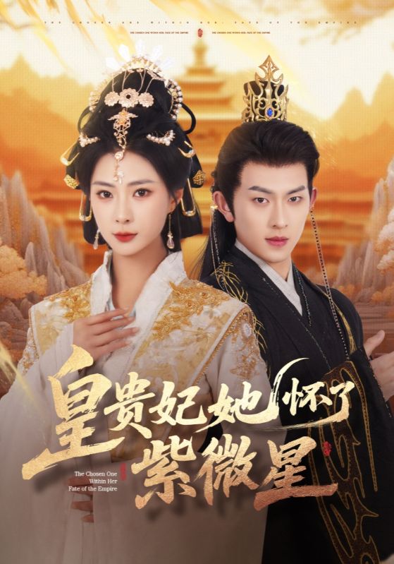 皇贵妃她怀了紫薇星海报