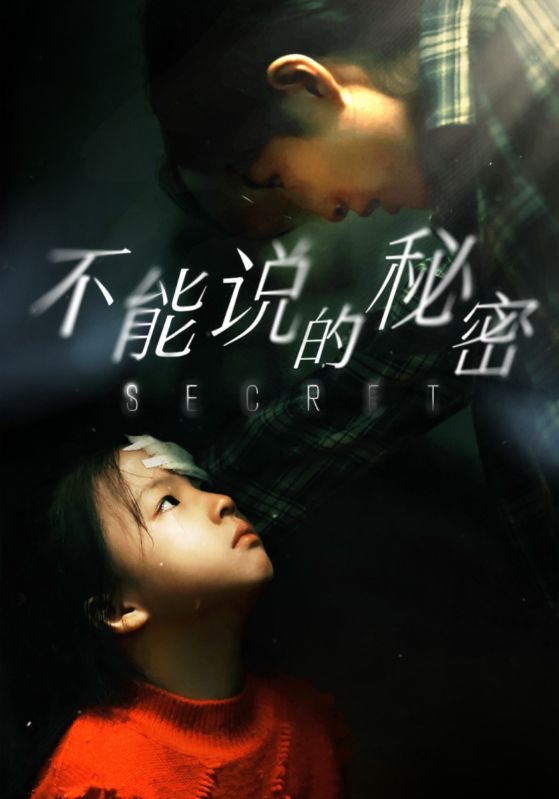 不能说的秘密海报