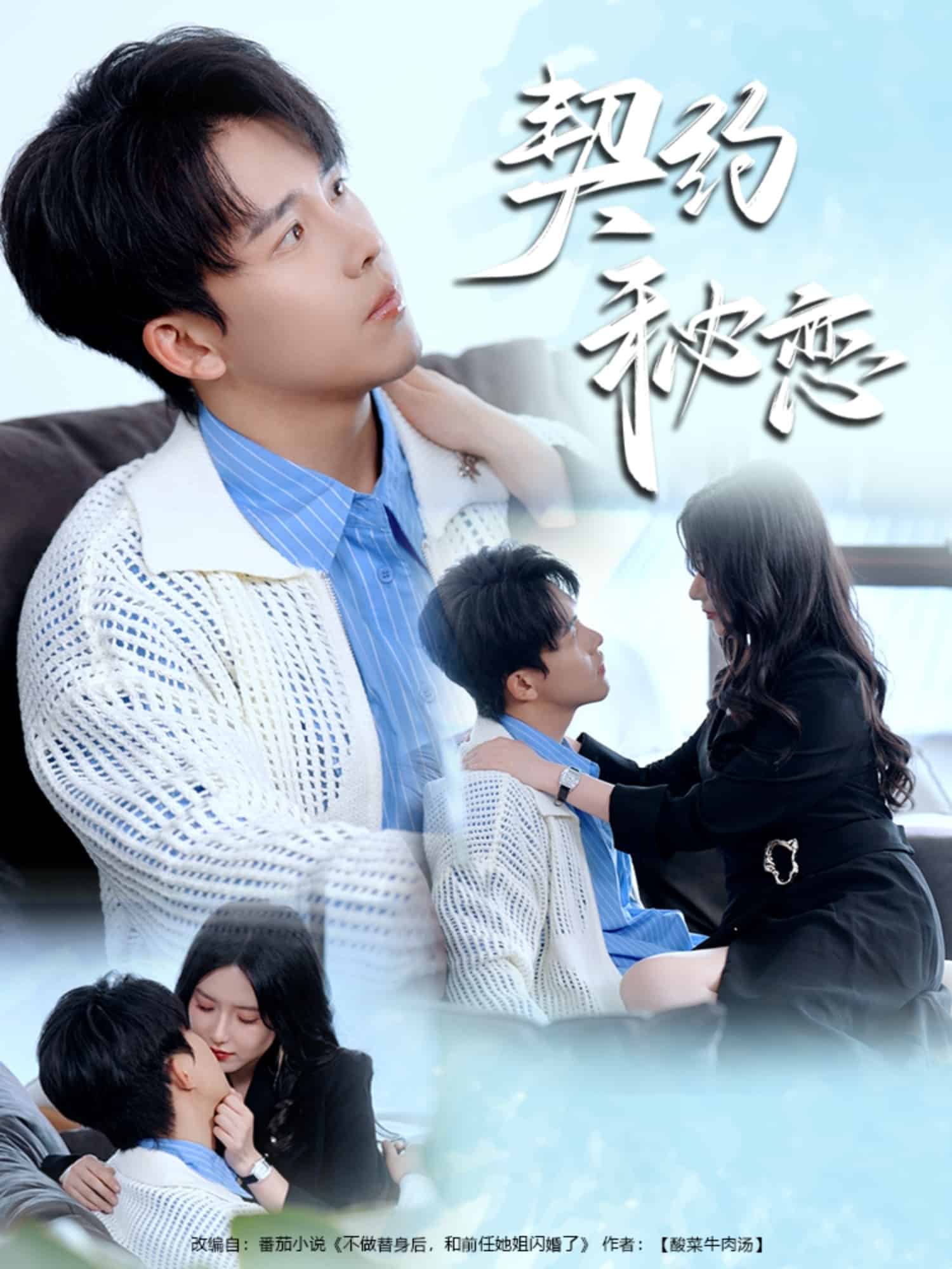 契约秘恋海报