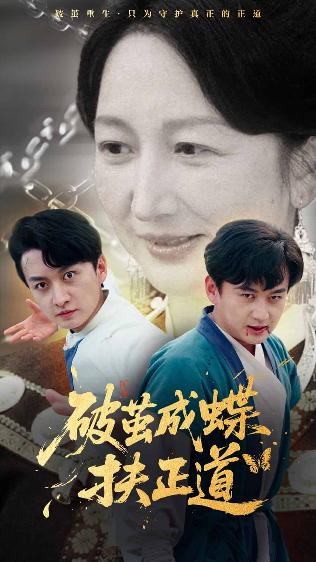 破茧成蝶扶正道海报