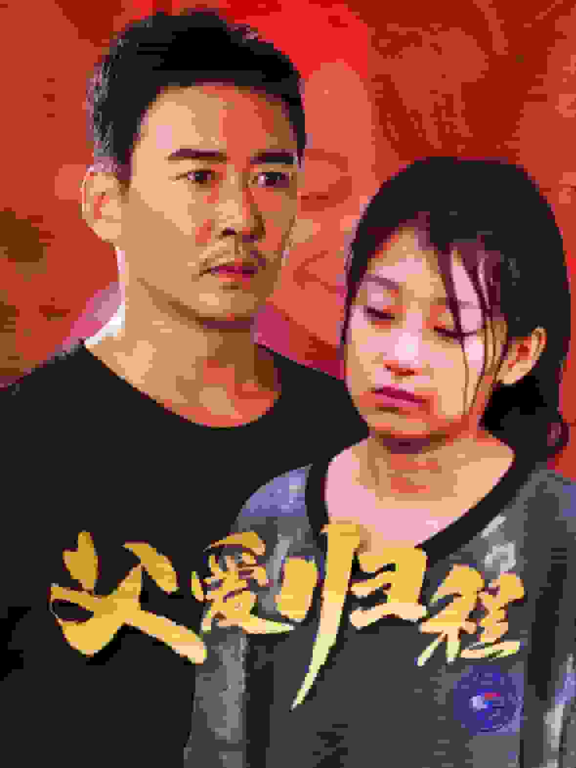 父爱归程海报