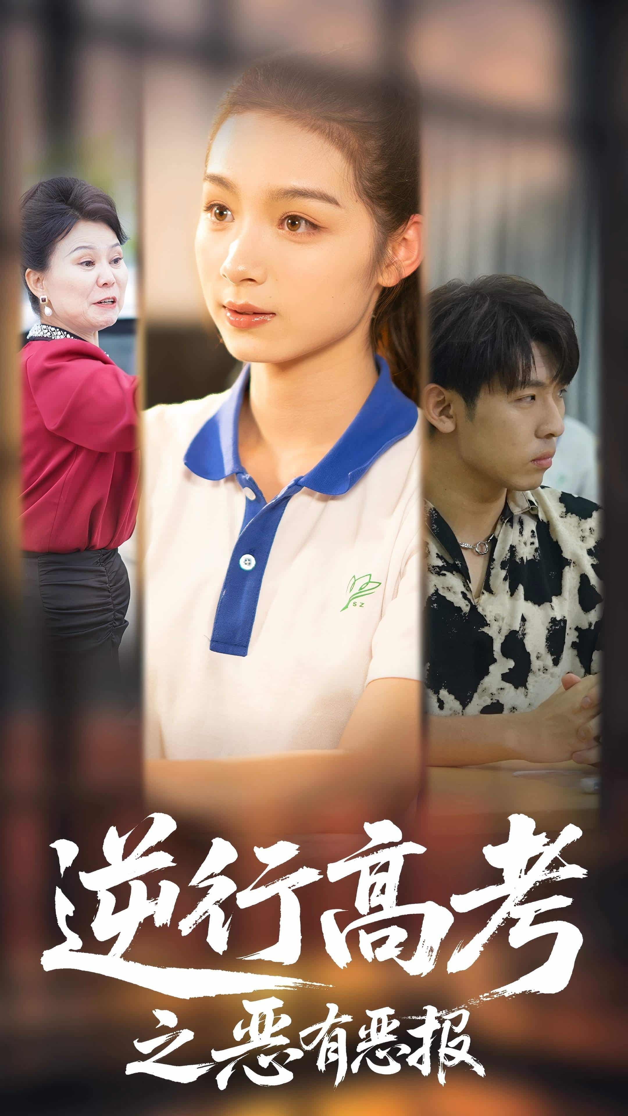 逆行高考之恶有恶海报