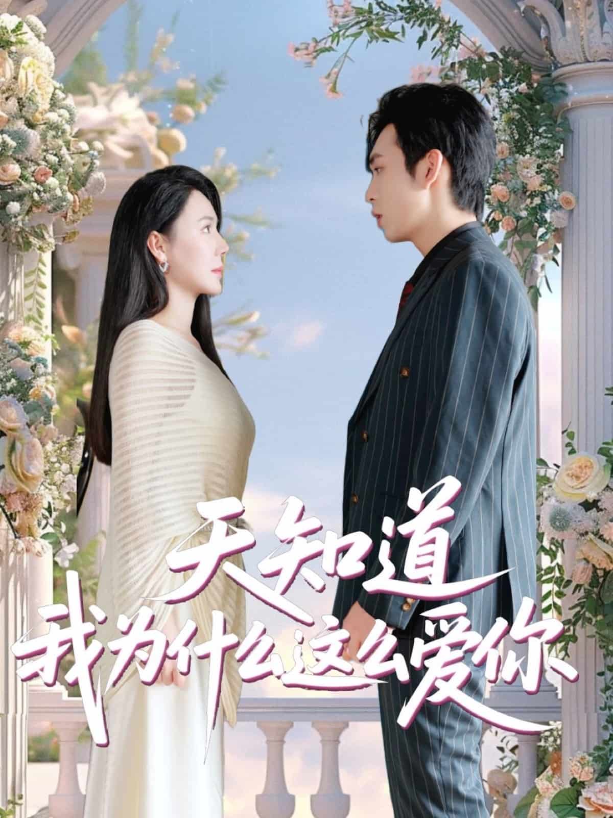 天知道我为什么这么爱你海报