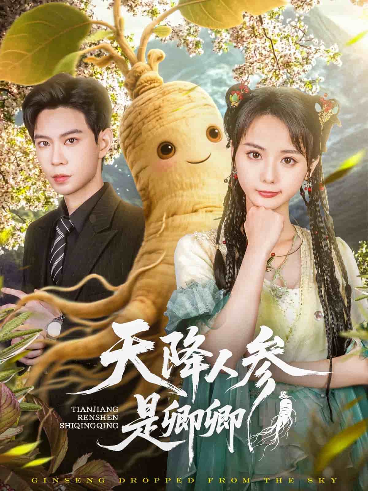 天降人参是卿卿海报