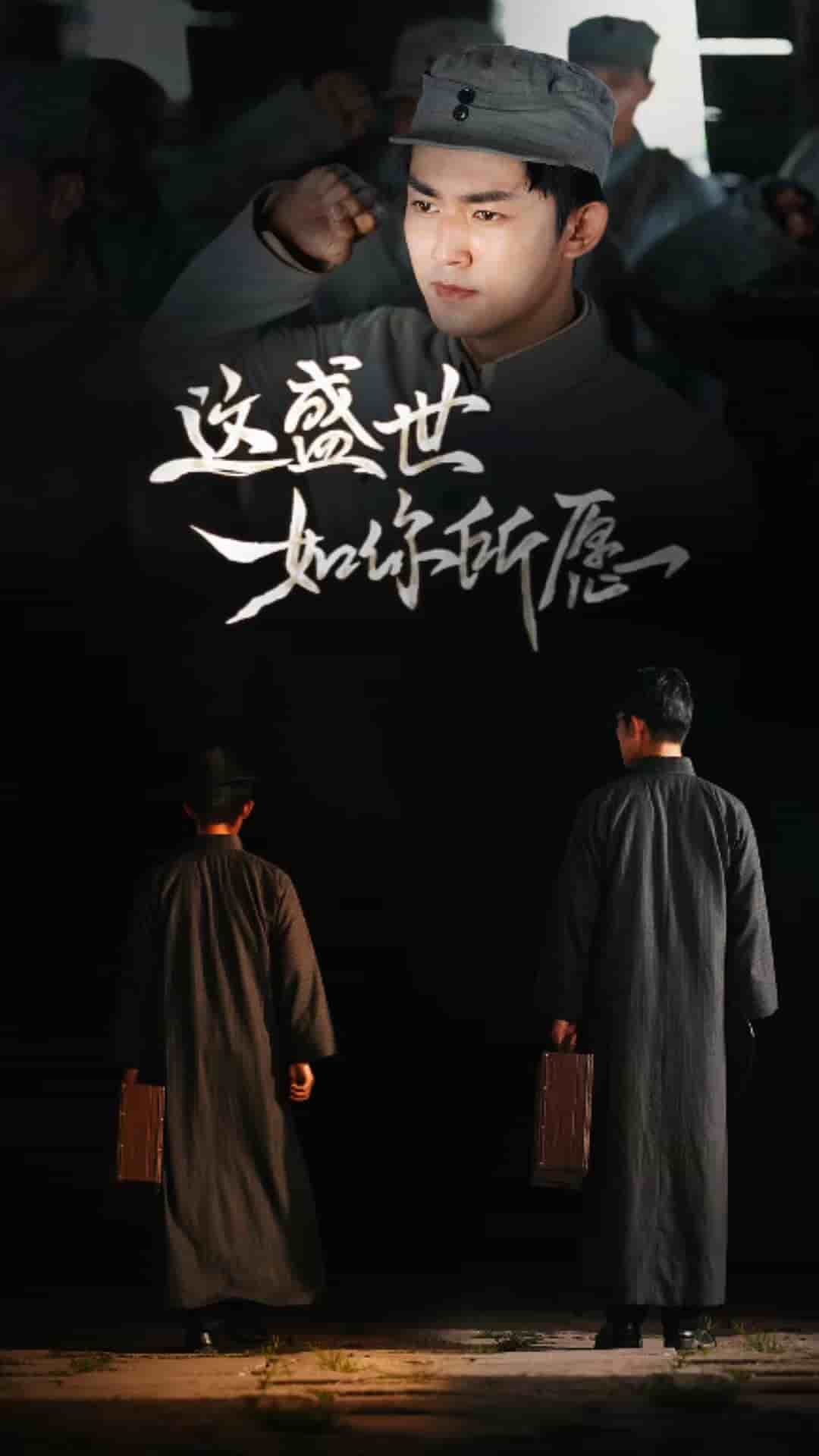 这盛世如你所愿海报