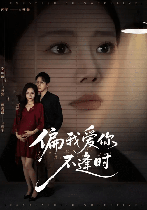 偏我爱你不逢时海报