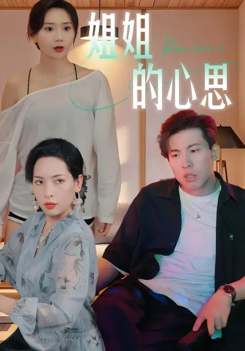 姐姐的心思海报