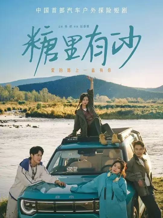 糖里有沙海报