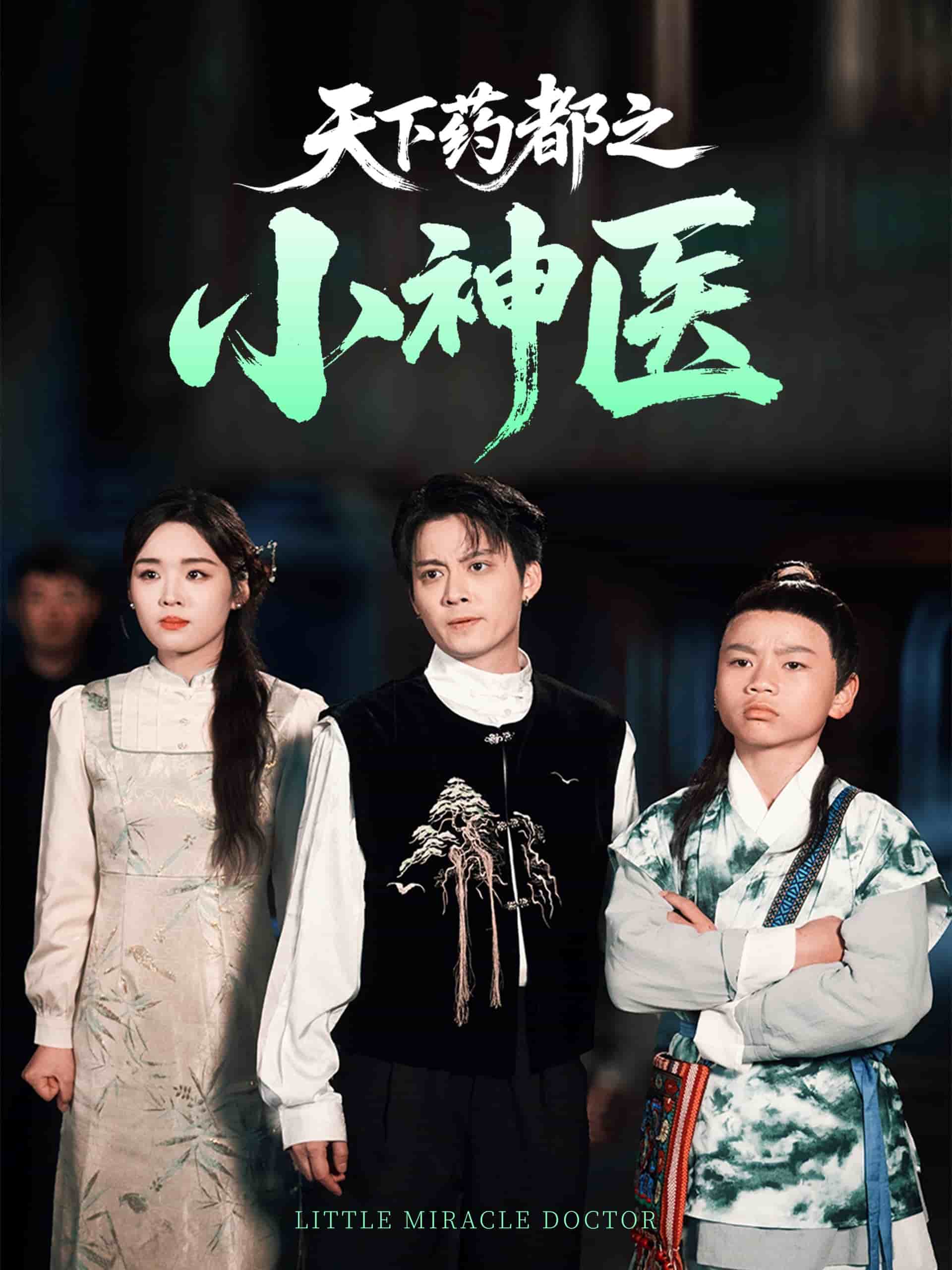 天下药都之小神医海报