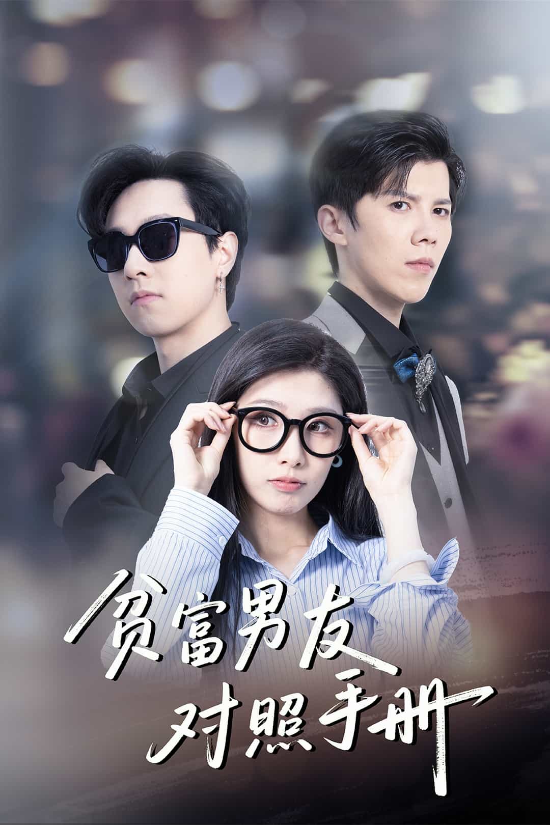 贫富男友对照手册海报