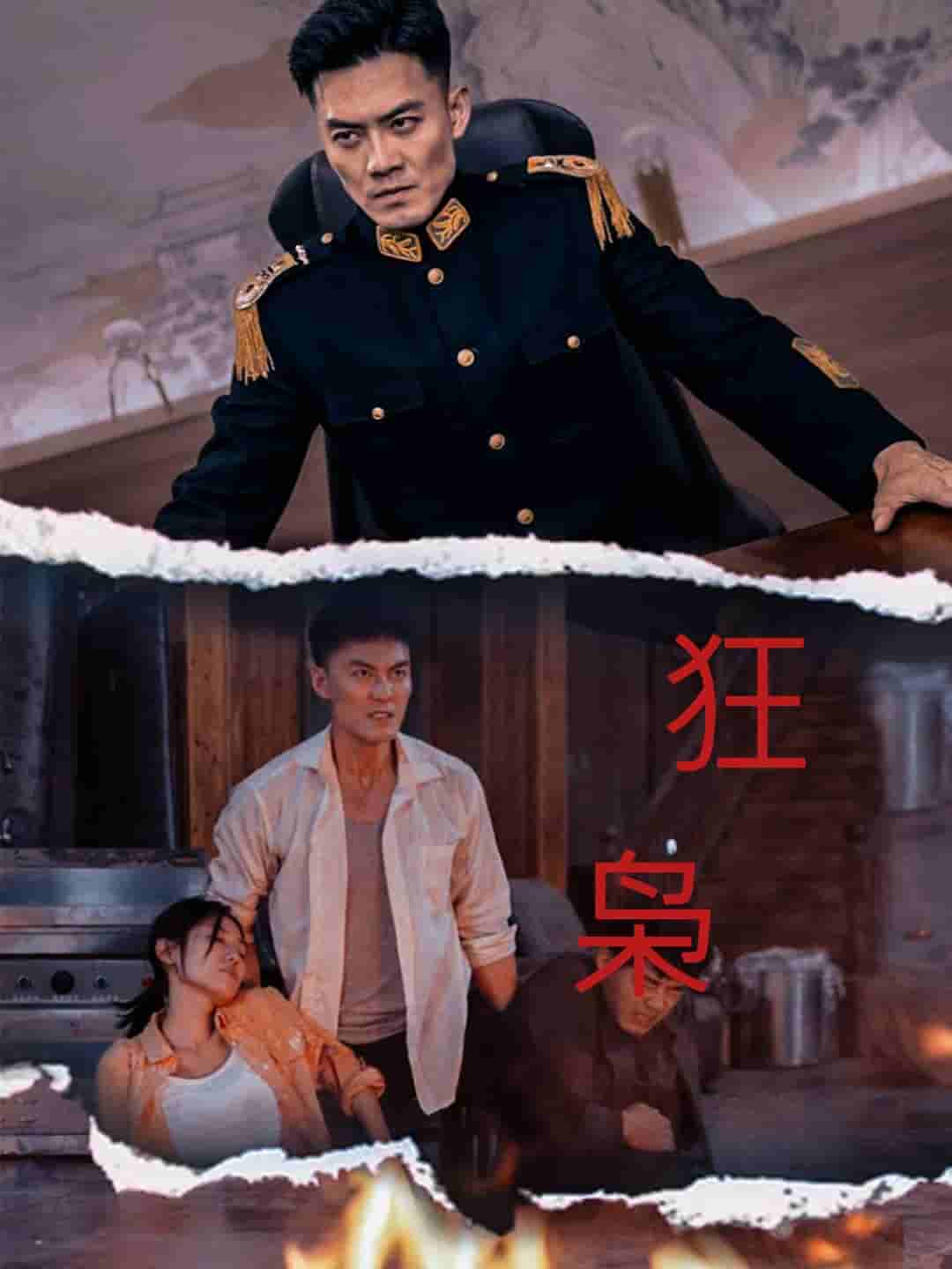 狂枭海报
