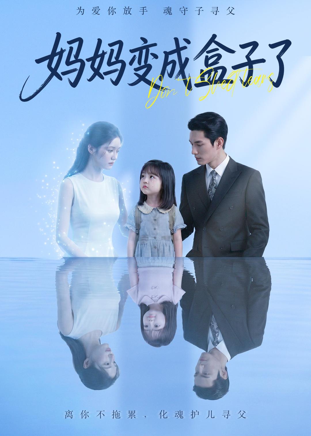 妈妈变成盒子了海报