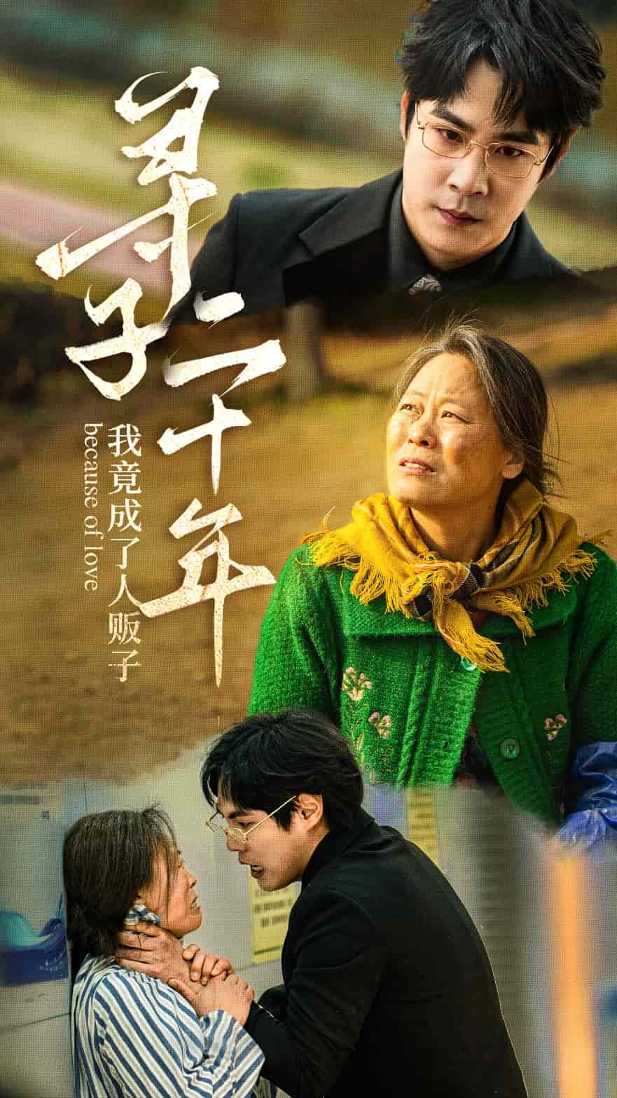 寻子二十年我竟成了人贩子海报