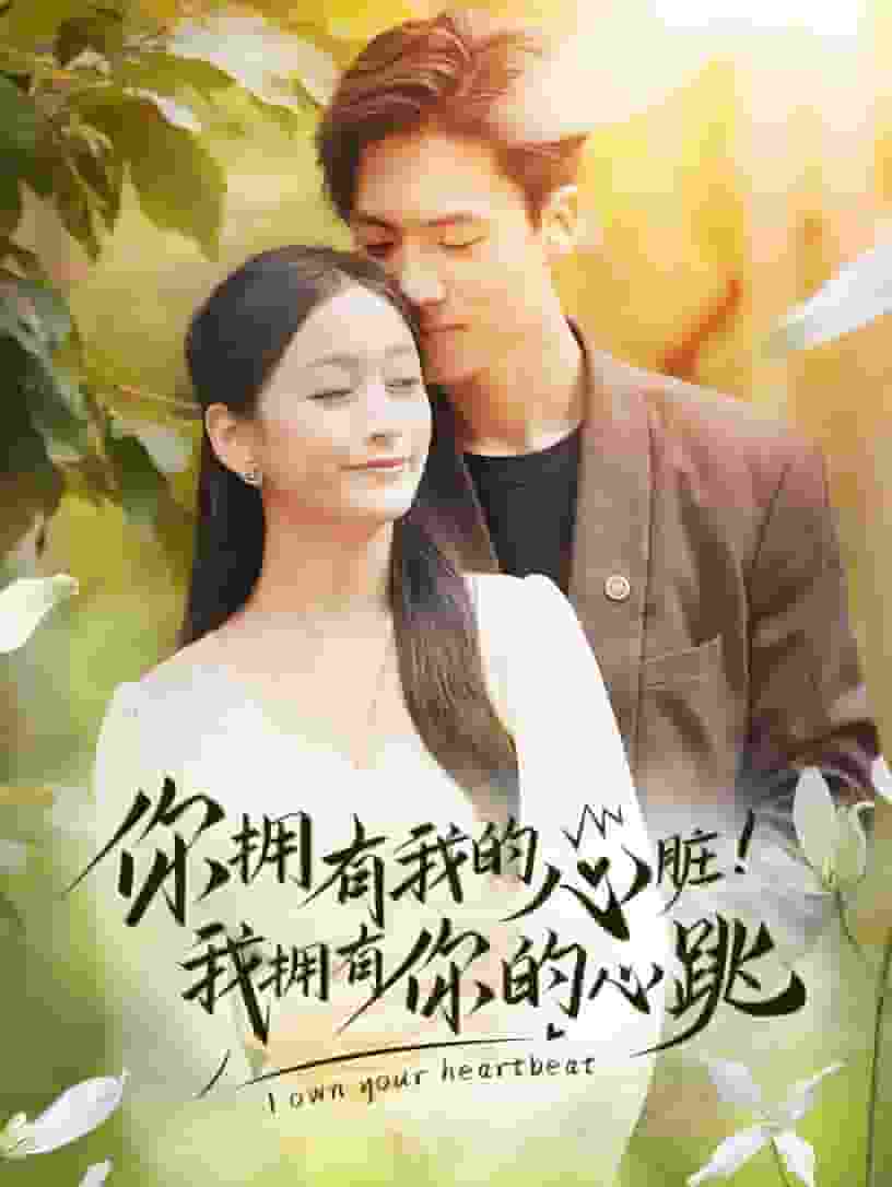 你拥有我的心脏！我拥有你的心跳海报