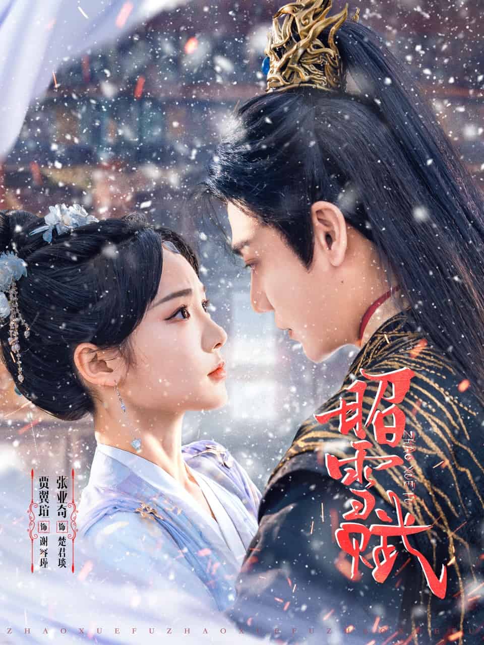 昭雪赋海报
